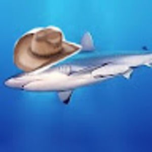 Meet your Posher, Edwin